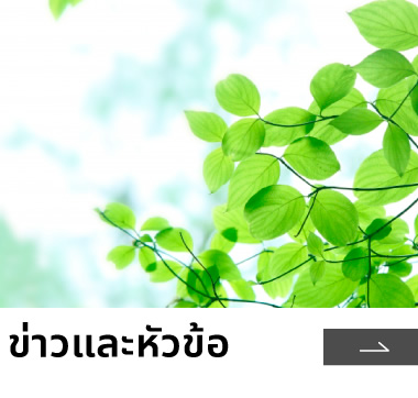 ข่าวและหัวข้อ